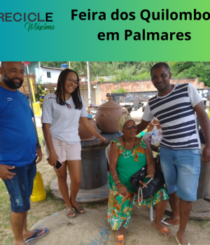 Inserir um título (1)
