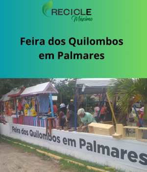 Inserir um título (8)
