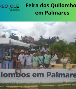 Inserir um título (9)